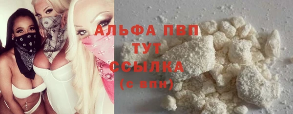 кокс Инсар