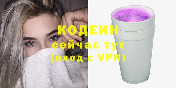 дмт Инта