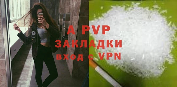кокс Инсар