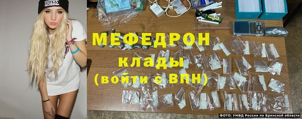 дмт Инта