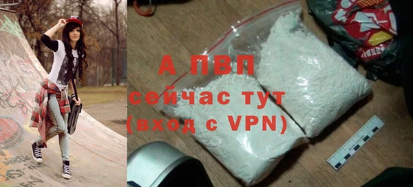 дмт Инта