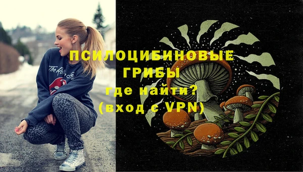 кокс Инсар