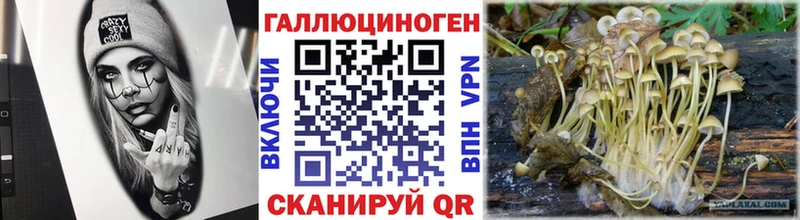 Купить где  Верещагино  Галлюциногенные грибы мицелий 